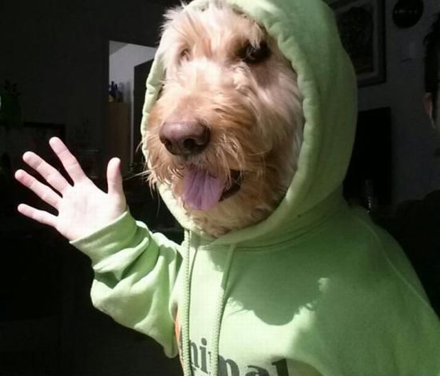 daily picdump 99 pics 32.html - 99 HD Photos | Premium Gallery 2013