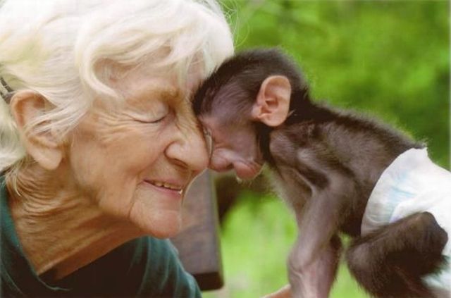 daily picdump 99 pics 32.html - 99 HD Photos | Premium Gallery 2013