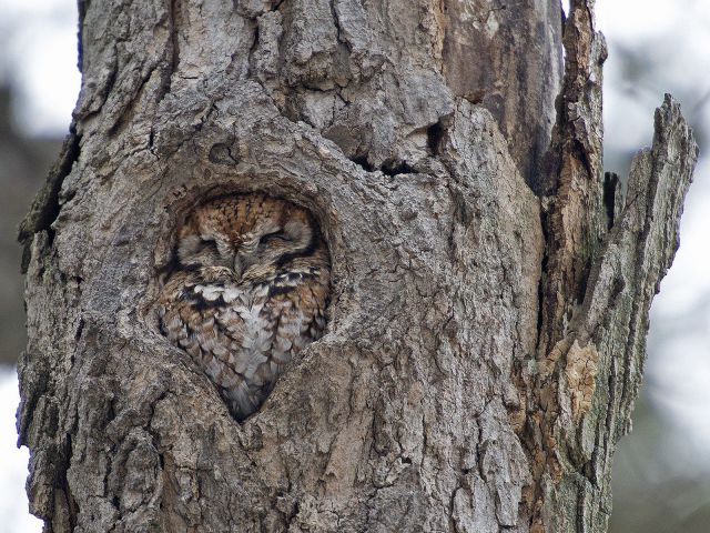 daily picdump 99 pics 32.html - 99 HD Photos | Premium Gallery 2013