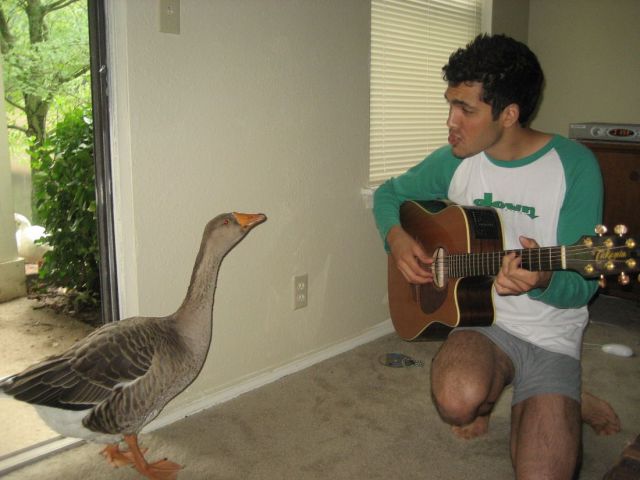 daily picdump 99 pics 32.html - 99 HD Photos | Premium Gallery 2013