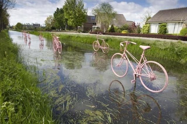 morning picdump 53 pics 2.html - 53 HD Photos | Premium Gallery 2013