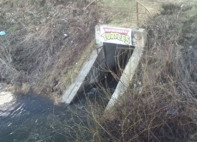 Morning Picdump