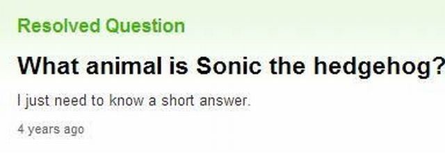 morning picdump 63 pics 19.html - 63 HD Photos | Premium Gallery 2013