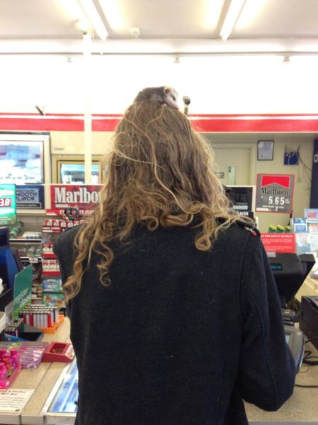 morning picdump 63 pics 19.html - 63 HD Photos | Premium Gallery 2013