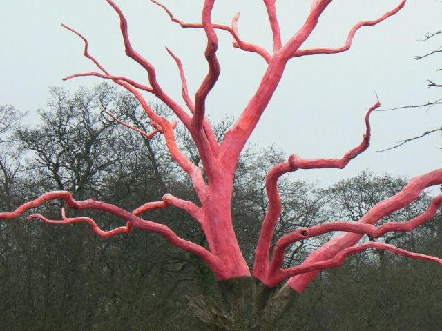 morning picdump 63 pics 19.html - 63 HD Photos | Premium Gallery 2013