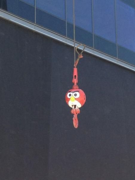 morning picdump 63 pics 19.html - 63 HD Photos | Premium Gallery 2013