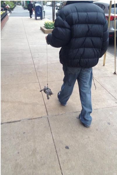 These Are Some of the Oddest People Ever