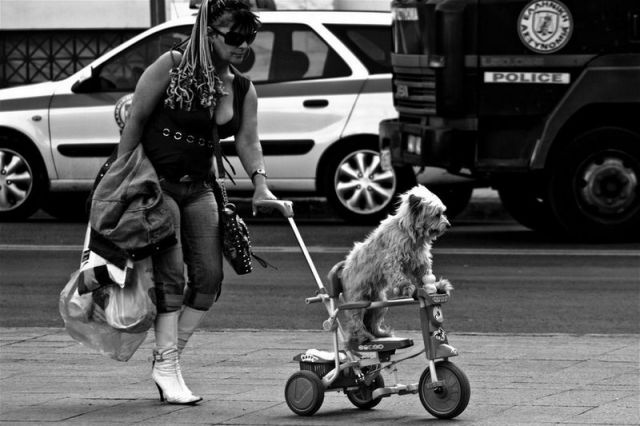 These Are Some of the Oddest People Ever