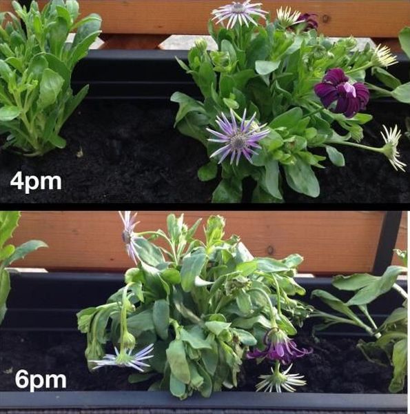 morning picdump 53 pics 10.html - 53 HD Photos | Premium Gallery 2013