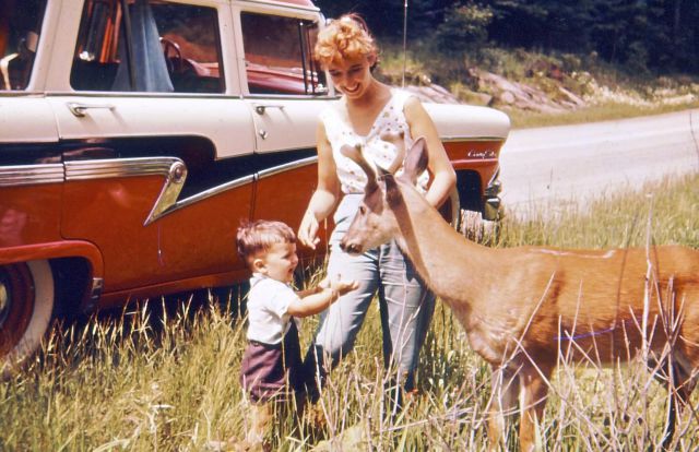 morning picdump 53 pics 10.html - 53 HD Photos | Premium Gallery 2013