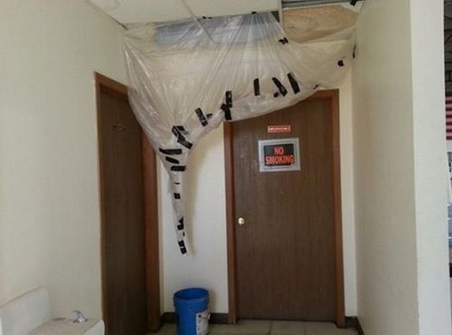 morning picdump 56 pics 13.html - 56 HD Photos | Premium Gallery 2013