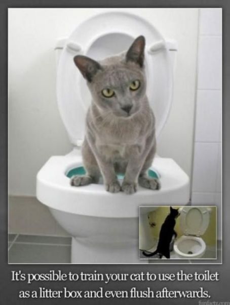 morning picdump 56 pics 13.html - 56 HD Photos | Premium Gallery 2013