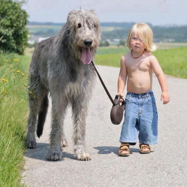 Morning Picdump