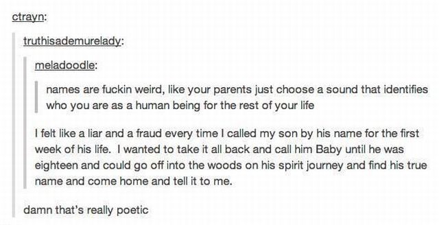 morning picdump 51 pics 2.html - 51 HD Photos | Premium Gallery 2013