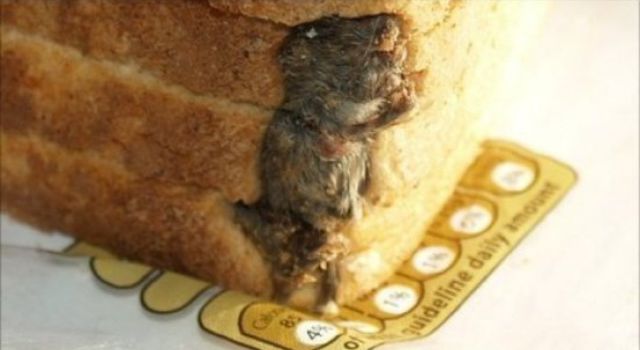 Truly Disgusting Things People Have Found in Their Food