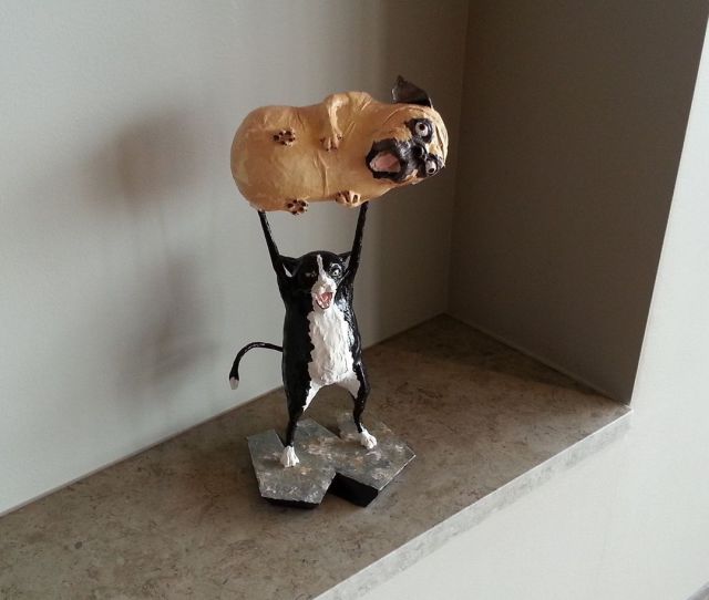 morning picdump 54 pics 26.html - 54 HD Photos | Premium Gallery 2013