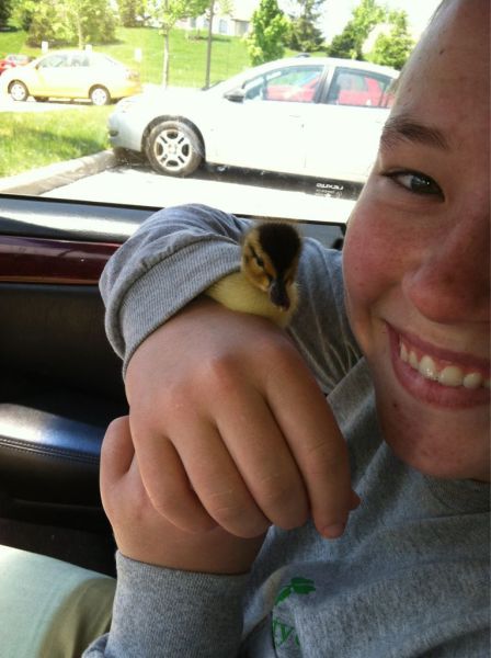 morning picdump 54 pics 26.html - 54 HD Photos | Premium Gallery 2013