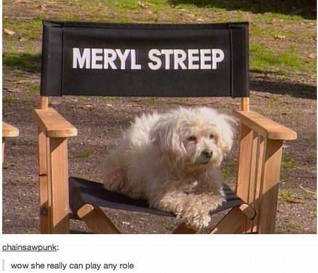 morning picdump 51 pics 12.html - 51 HD Photos | Premium Gallery 2013