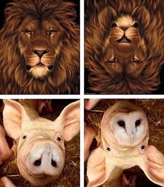 morning picdump 51 pics 12.html - 51 HD Photos | Premium Gallery 2013