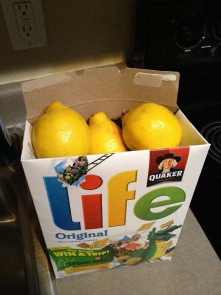 morning picdump 51 pics 12.html - 51 HD Photos | Premium Gallery 2013