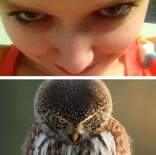 Morning Picdump