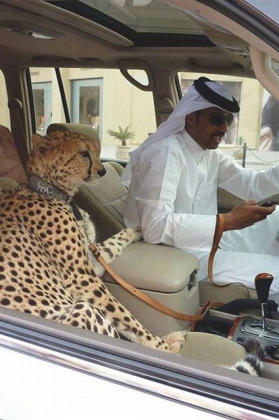 morning picdump 54 pics 12.html - 54 HD Photos | Premium Gallery 2013