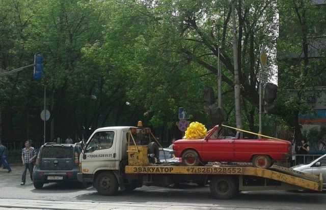 morning picdump 54 pics 12.html - 54 HD Photos | Premium Gallery 2013
