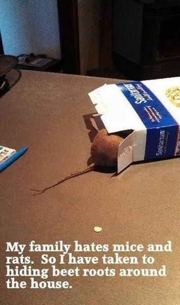 morning picdump 54 pics 12.html - 54 HD Photos | Premium Gallery 2013