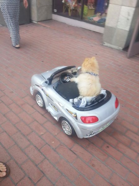 Morning Picdump