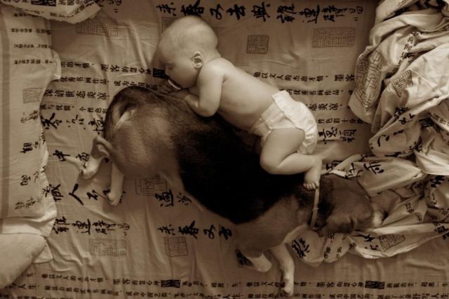 morning picdump 54 pics 14.html - 54 HD Photos | Premium Gallery 2013