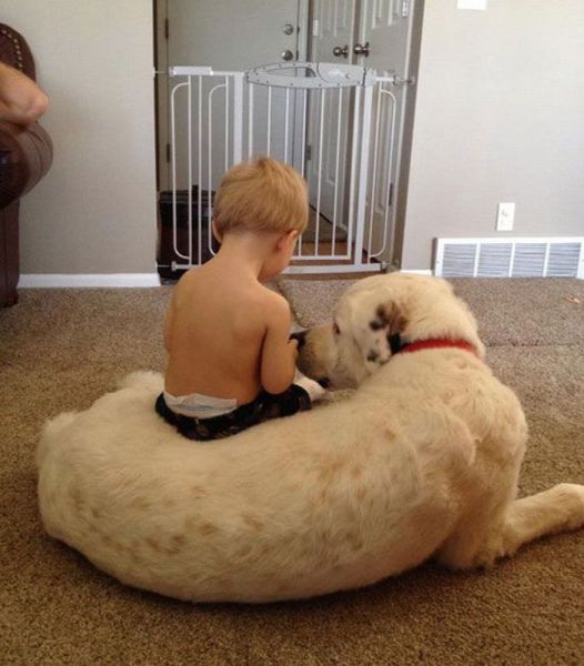 morning picdump 54 pics 14.html - 54 HD Photos | Premium Gallery 2013