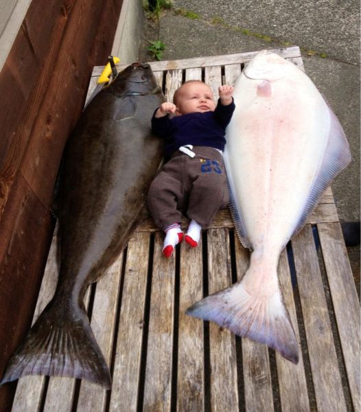 morning picdump 54 pics 14.html - 54 HD Photos | Premium Gallery 2013