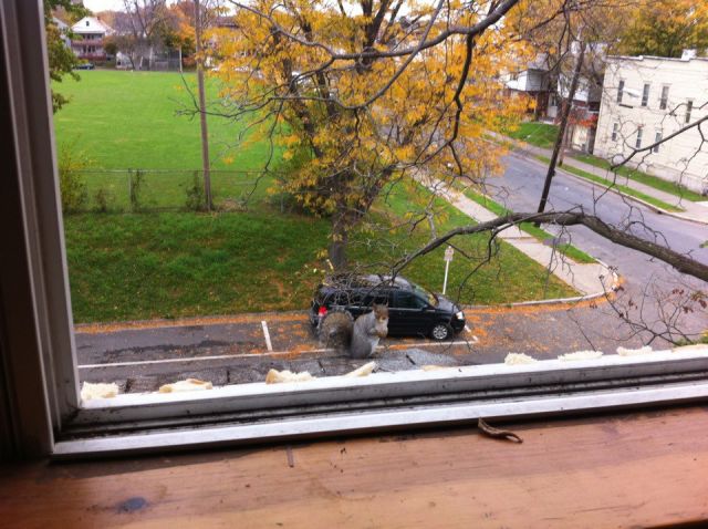 Photos That Have Some Fun with Angles