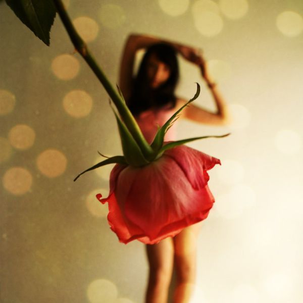 Photos That Have Some Fun with Angles