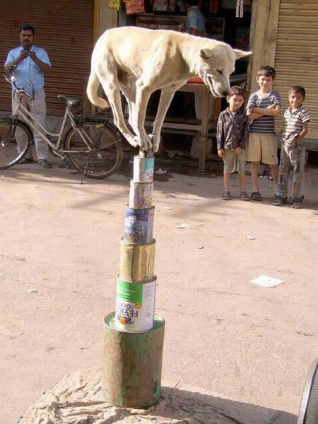 morning picdump 53 pics 13.html - 53 HD Photos | Premium Gallery 2013
