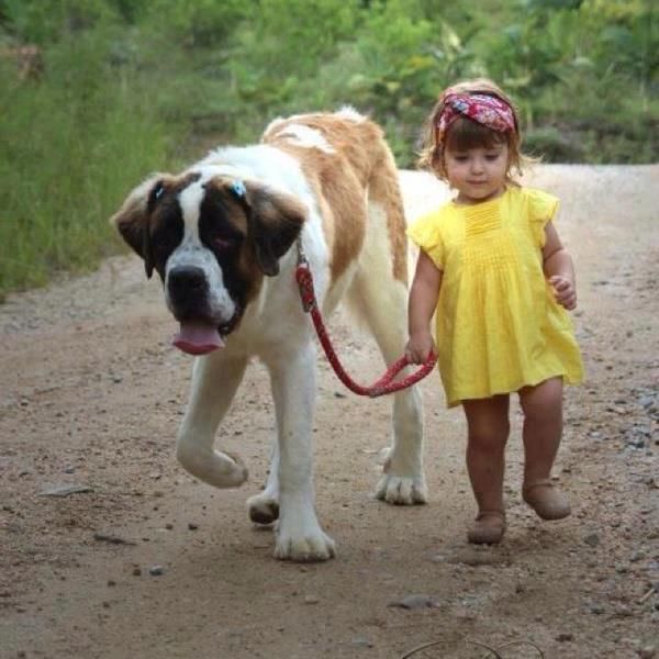Daily Picdump [WEEKEND EDITION]