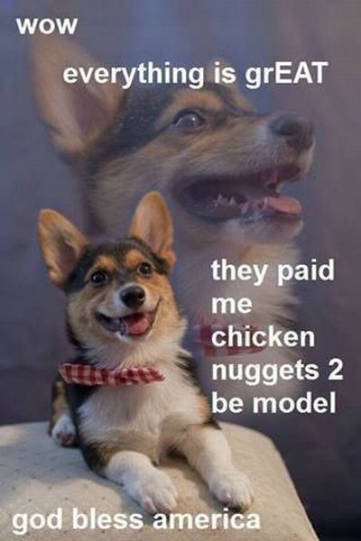 Daily Picdump [WEEKEND EDITION]