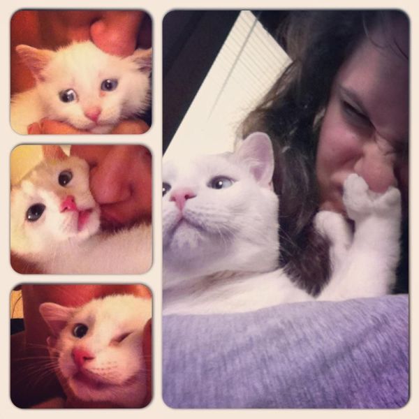 morning picdump 54 pics 2.html - 54 HD Photos | Premium Gallery 2013