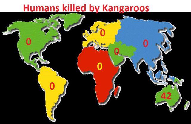 morning picdump 54 pics 2.html - 54 HD Photos | Premium Gallery 2013