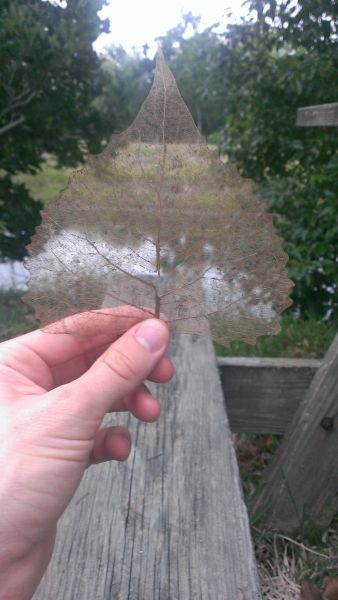 morning picdump 54 pics 2.html - 54 HD Photos | Premium Gallery 2013