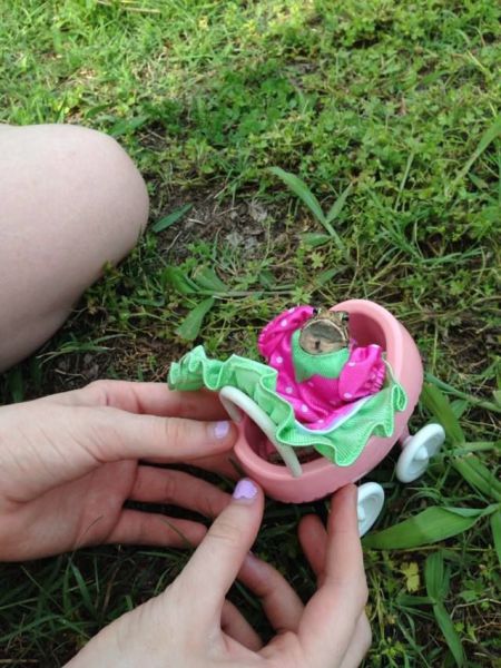 morning picdump 54 pics 2.html - 54 HD Photos | Premium Gallery 2013