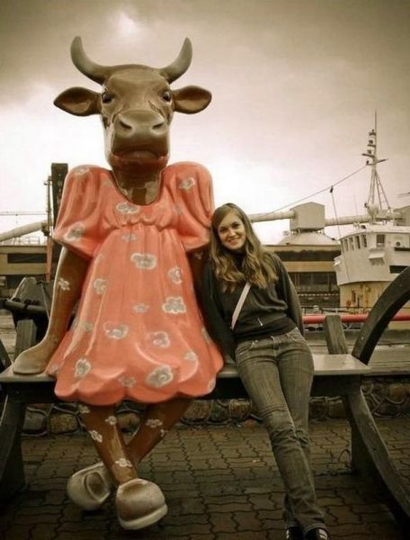 morning picdump 54 pics 2.html - 54 HD Photos | Premium Gallery 2013