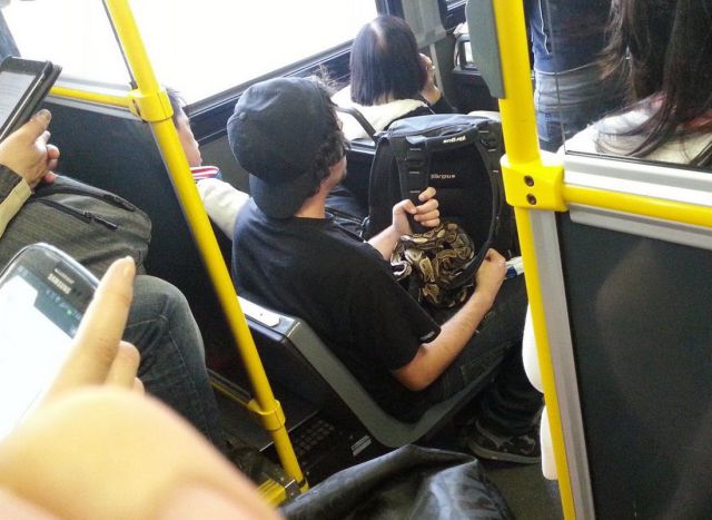 morning picdump 54 pics 2.html - 54 HD Photos | Premium Gallery 2013