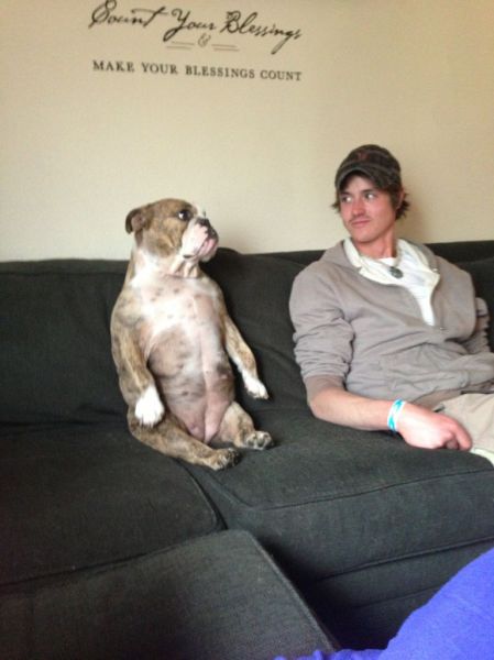 morning picdump 54 pics 2.html - 54 HD Photos | Premium Gallery 2013