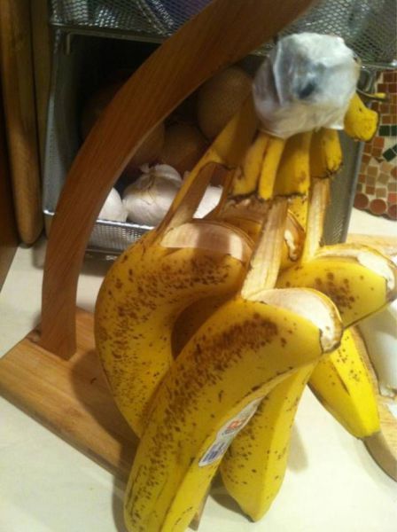 morning picdump 54 pics 2.html - 54 HD Photos | Premium Gallery 2013