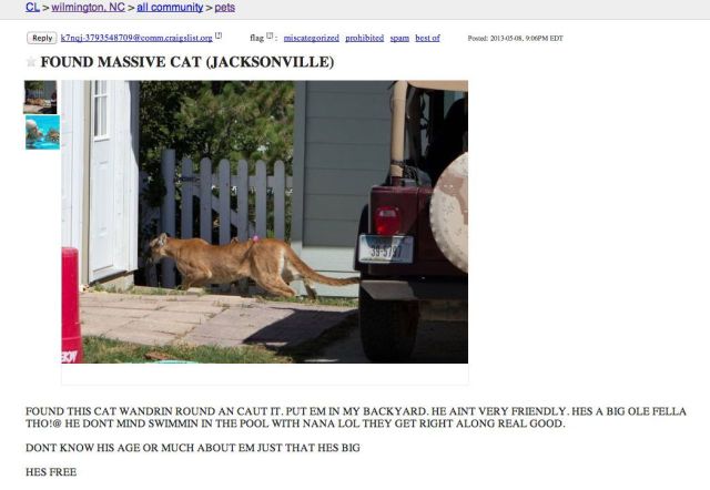 Morning Picdump