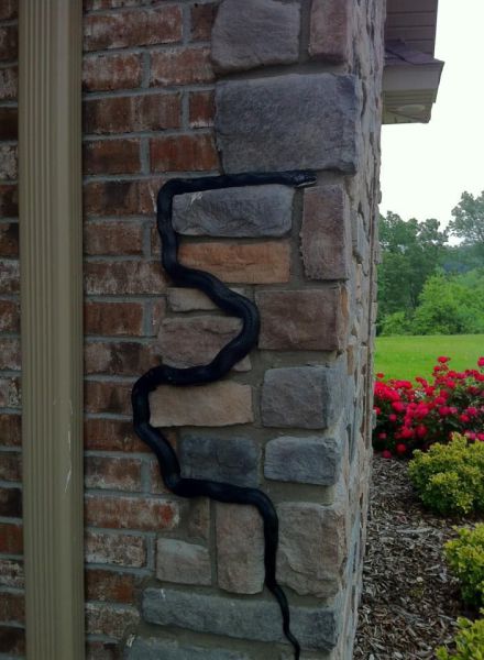 morning picdump 54 pics 7.html - 54 HD Photos | Premium Gallery 2013