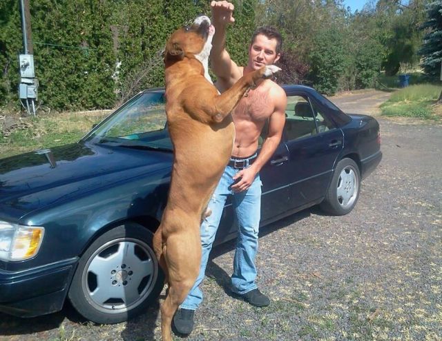 morning picdump 54 pics 7.html - 54 HD Photos | Premium Gallery 2013