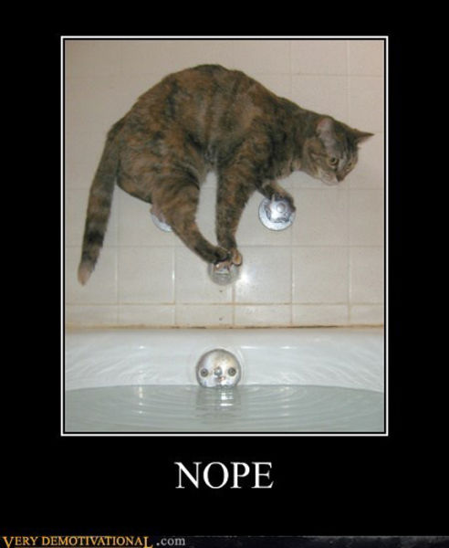 funny picdump 54 pics 14.html - 54 HD Photos | Premium Gallery 2013