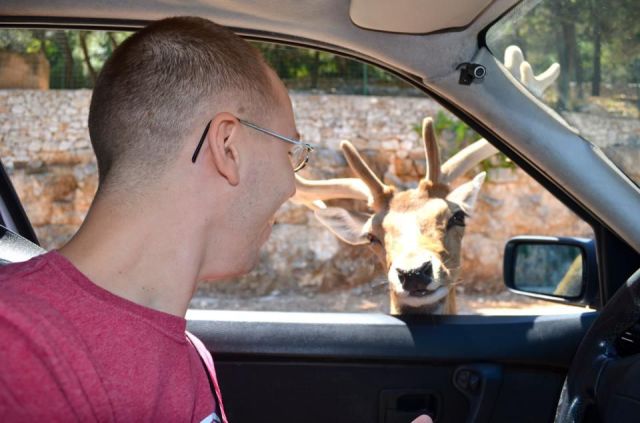 morning picdump 55 pics 15.html - 55 HD Photos | Premium Gallery 2013